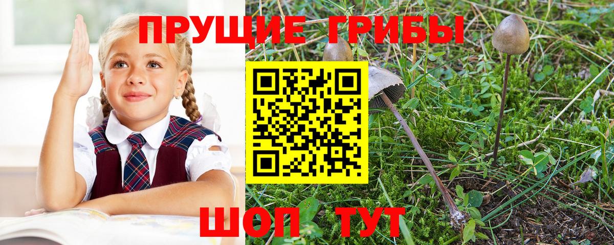 Галлюциногенные грибы мухоморы Саяногорск