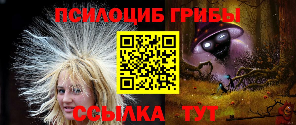 Саяногорск  Псилоцибиновые грибы GOLDEN TEACHER  Вход с VPN 